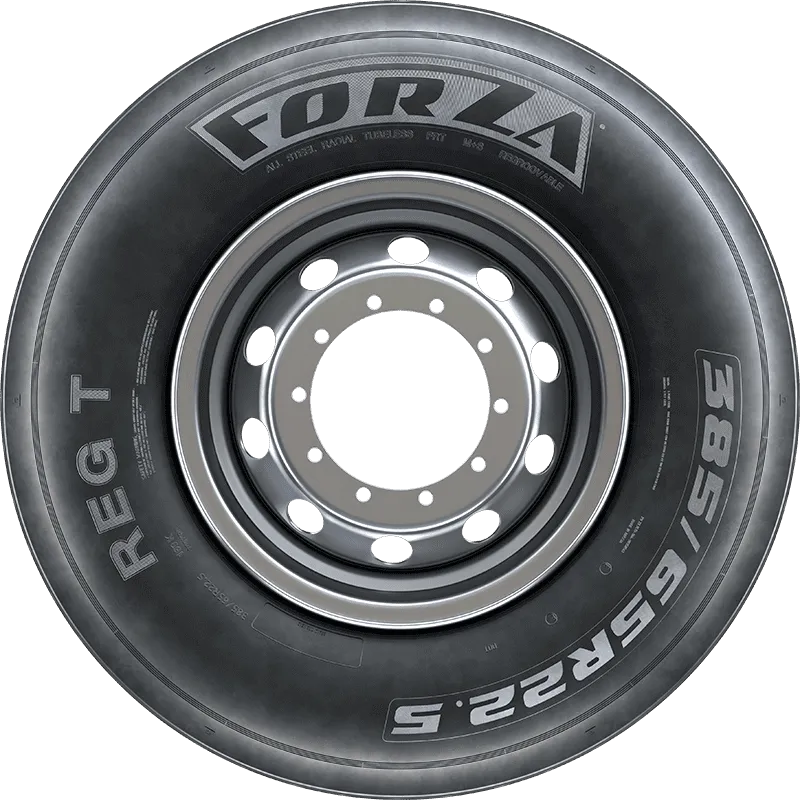 FORZA REG T в Энгельсе-19 — KAMA TYRES FORZA REG T в Энгельсе-19